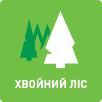 Icon forest