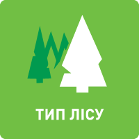 Icon forest